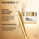L'Oreal Paris Age Perfect Day Cream 50ml thumbnail 3