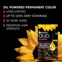 Garnier Olia 5.0 Brown 1 pack thumbnail 5