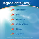 Ease-A-Cold Cough, Cold & Flu + Pain Day & Night thumbnail 8