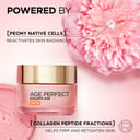 L'Oreal Paris Age Perfect Golden Age SPF15 Day 50ml thumbnail 4