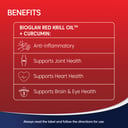 Bioglan Red Krill Oil Plus Curcumin 60 capsules thumbnail 5