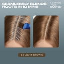 Clairol Nice'n Easy Touch Up 6 Light Brown 1 each thumbnail 8