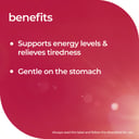 Nature's Way High Strength Iron 30 tablets thumbnail 5