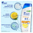 Head & Shoulders 2 In 1 Oil Control 350ml thumbnail 5