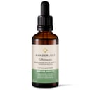 Wanderlust Echinacea 50ml thumbnail 1