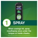 Nicorette Quick Mist Smart Track Single 1 pack thumbnail 2