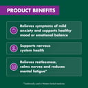 Nature's Own Mood Balance St Johns Wort 50 tablets thumbnail 8