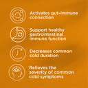 Blackmores Gut Immune Biotic 60 tablets thumbnail 9