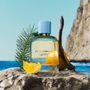 Dolce & Gabbana Light Blue Pour Homme EDP Spray 50ml thumbnail 3