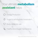 FBX Platinum Berberine+ 30 capsules thumbnail 5