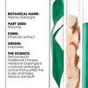 Klorane Anti-Dandruff Rebalancing Shampoo Galangal 400ml thumbnail 3