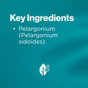 Blackmores Kaloba Syrup 50ml thumbnail 12