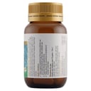 Herbs of Gold Probiotic + SB 30 vegetarian capsules thumbnail 2