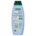 Palmolive 3in1 Bluey Kids Shampoo Conditioner Bodywash 350ml thumbnail 2