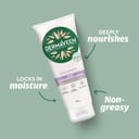 DermaVeen Extra Hydration Sheer Moisturising Cream 200g thumbnail 4