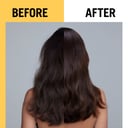 Schwarzkopf Extra Care Daily Oil Elixir 100ml thumbnail 5