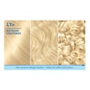 Schwarzkopf Nordic Blonde L1+ Extreme Lightener 1 pack thumbnail 5
