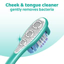 Colgate 360 Degree Toothbrush Medium 2 pack thumbnail 3