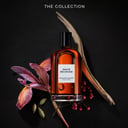 David Beckham Exquisite Leather EDP Spray 100ml thumbnail 3