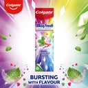 Colgate Toothpaste Max Fresh Rainbow 100g thumbnail 6