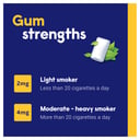 Nicabate Gum Regular Strength Extra Fresh Mint 2mg - 200 pieces thumbnail 6