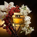 Dolce & Gabbana The One EDP Intense Spray 75ml thumbnail 4
