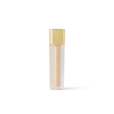 Napoleon Perdis Camera Finish Concealer FN6 - 1 each