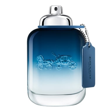 Coach Blue EDT Spray 100ml