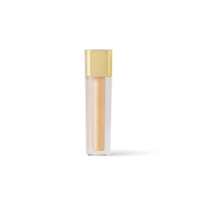 Napoleon Perdis Camera Finish Concealer LN8 - 1 each
