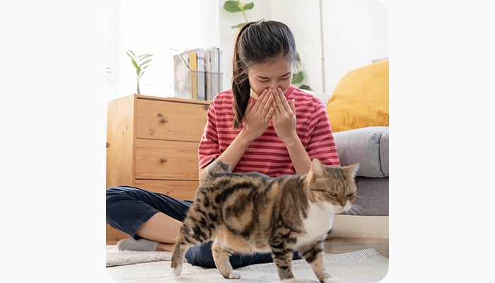 Hayfever statistics