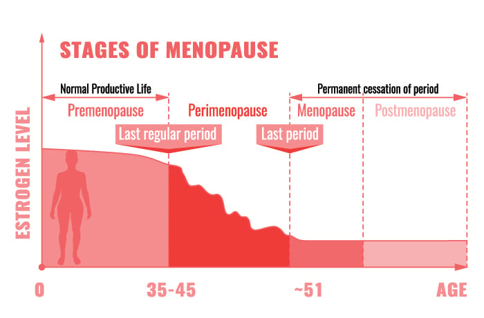 stages of Menopause