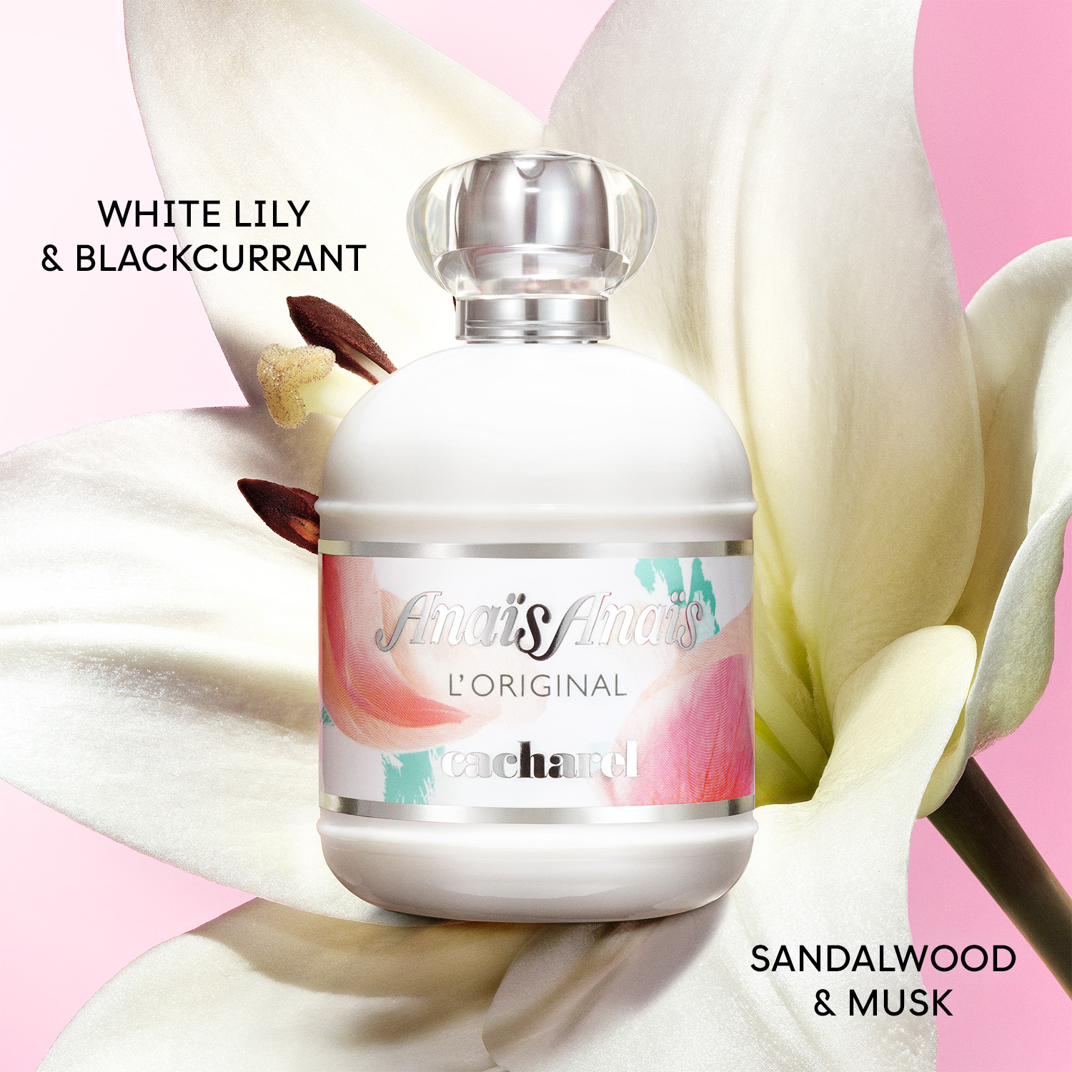 Cacharel Anais Anais L'Original EDT Spray 100ml - Image 2