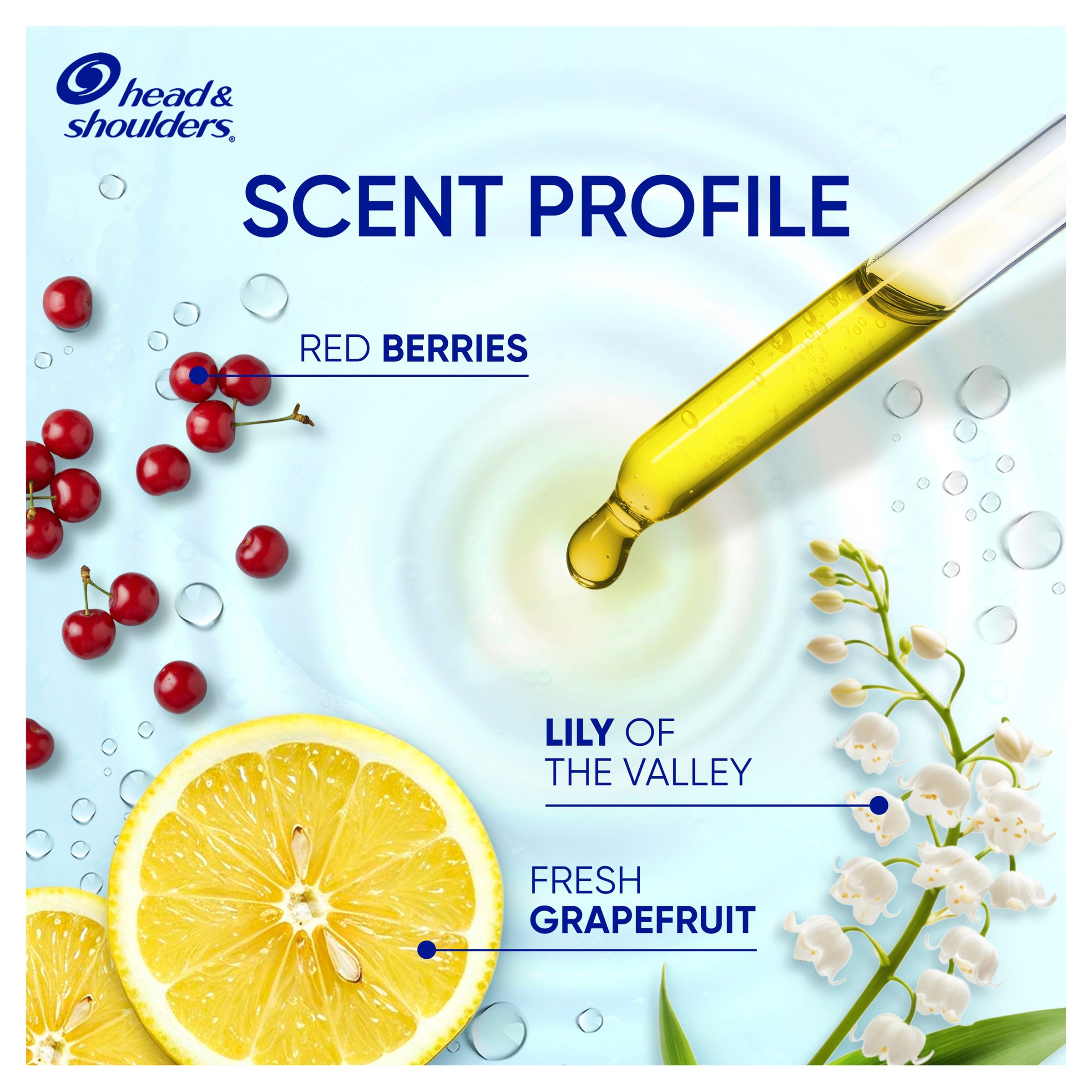 Head & Shoulders 2 In 1 Oil Control 350ml - Image 7