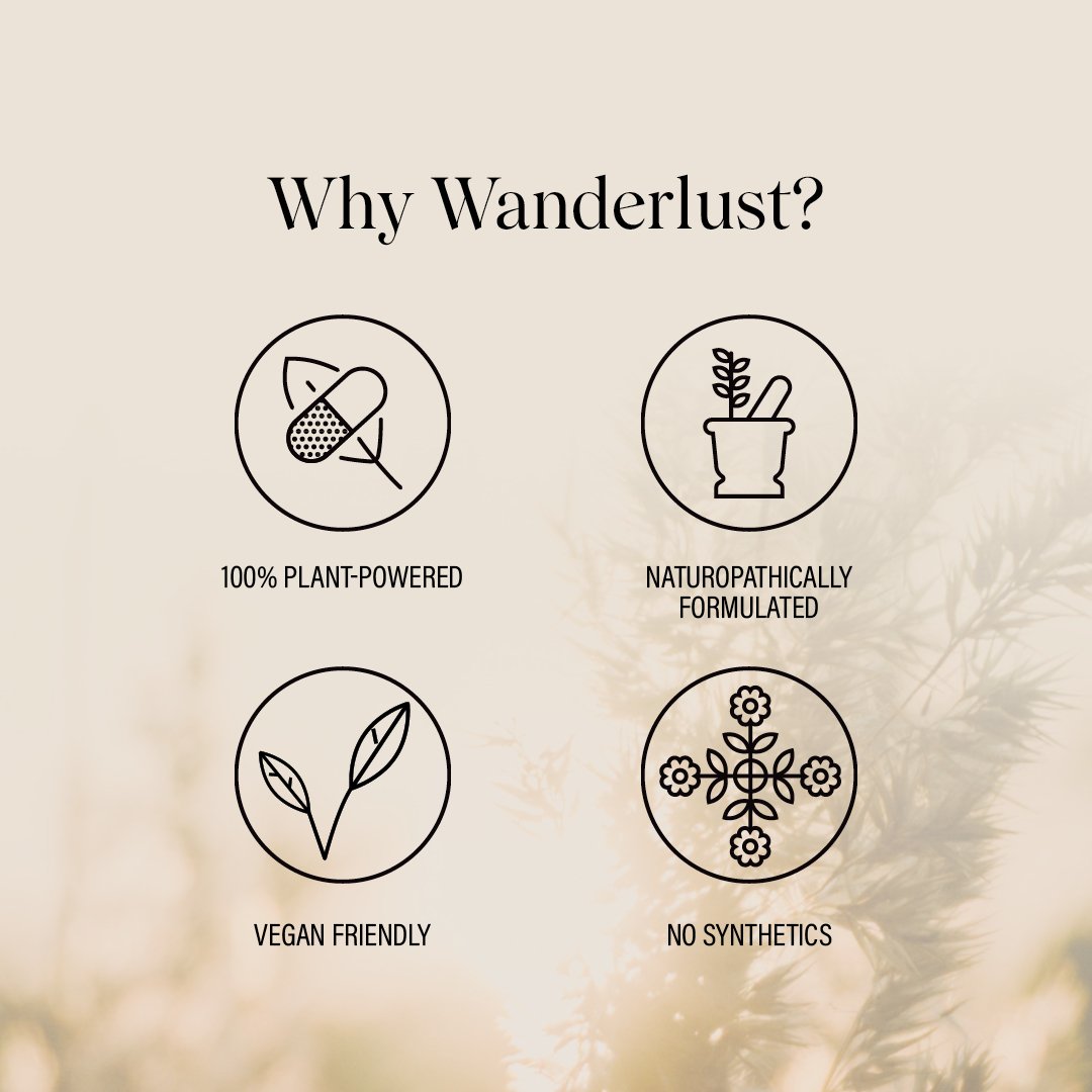 Wanderlust Echinacea 50ml - Image 3