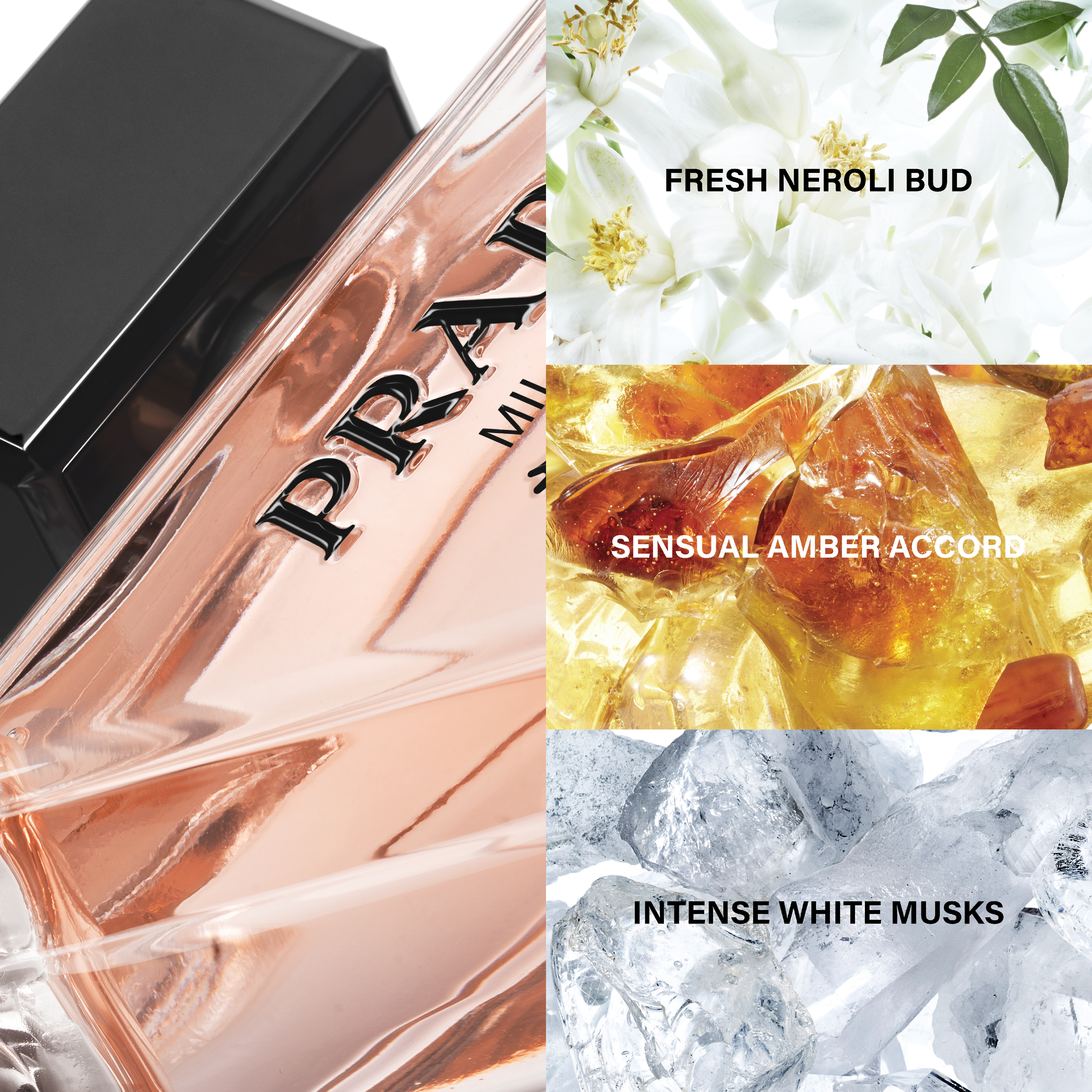 Prada Paradoxe EDP Spray 50ml - Image 5
