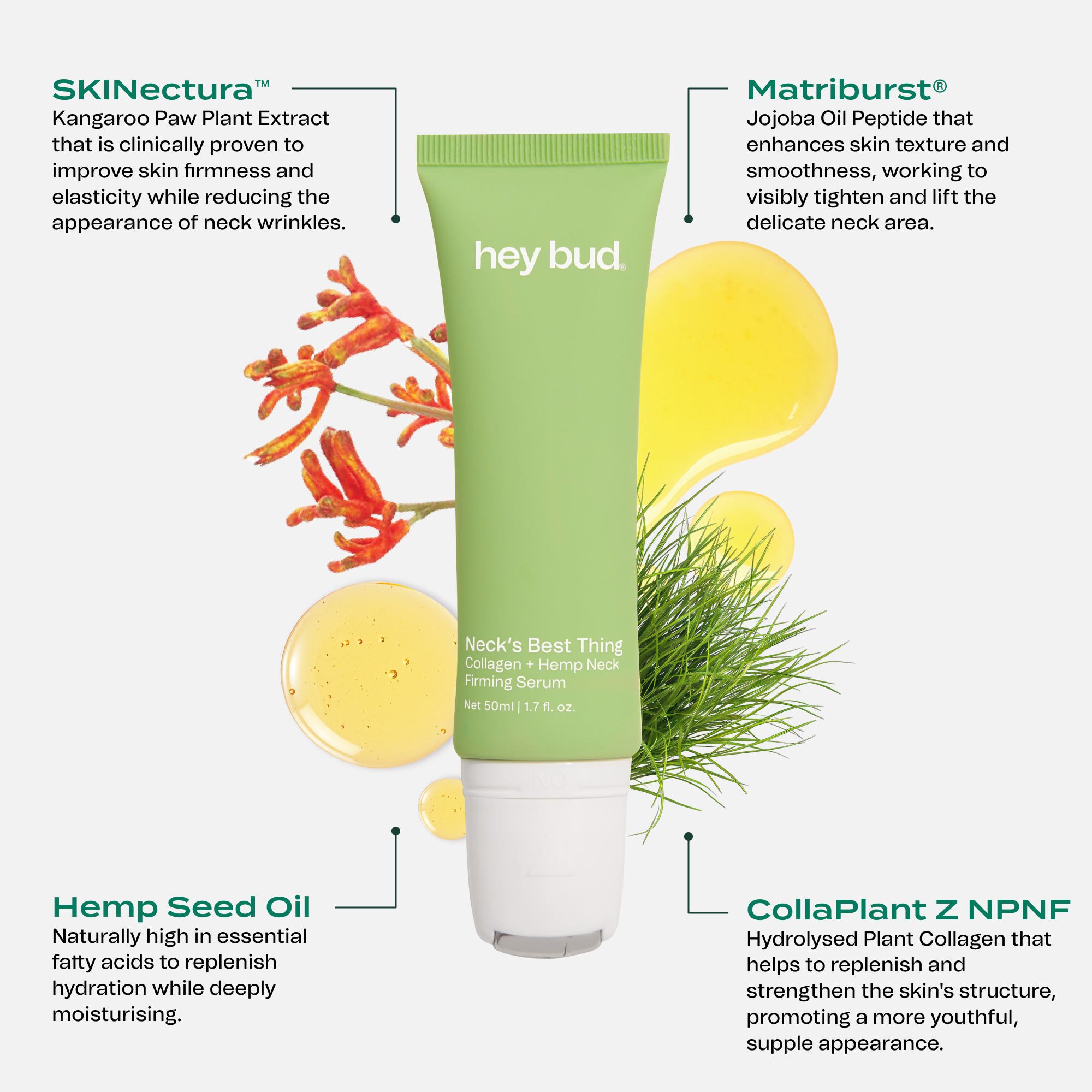 Hey Bud Collagen + Hemp Neck Firming Serum 50ml - Image 2