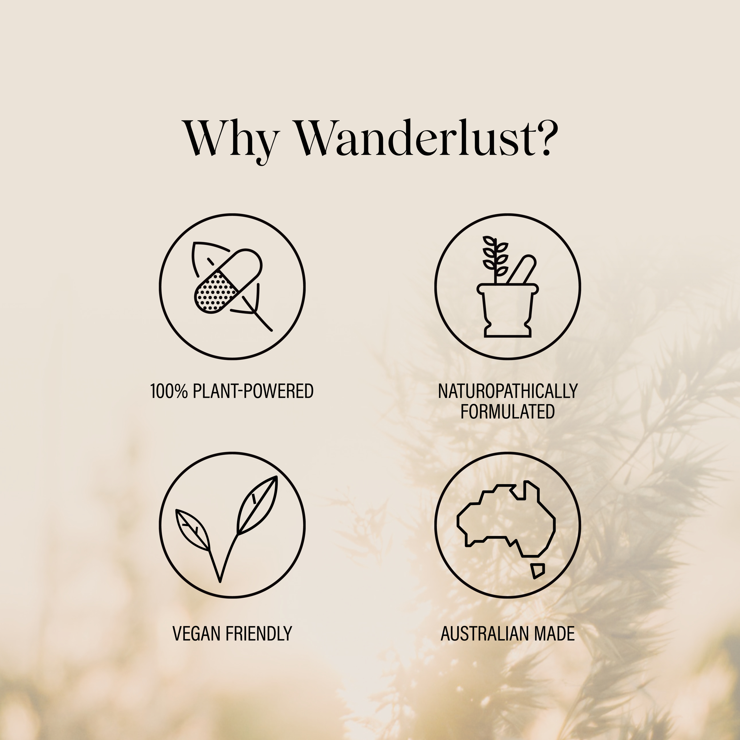 Wanderlust High Strength Milk Thistle 100 capsules - Image 5