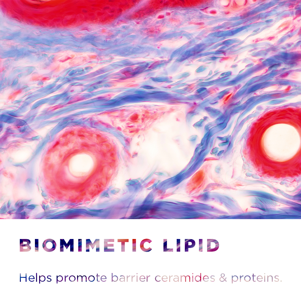 Bioderma Sensibio AR+ Creme TE 40ml - Image 4
