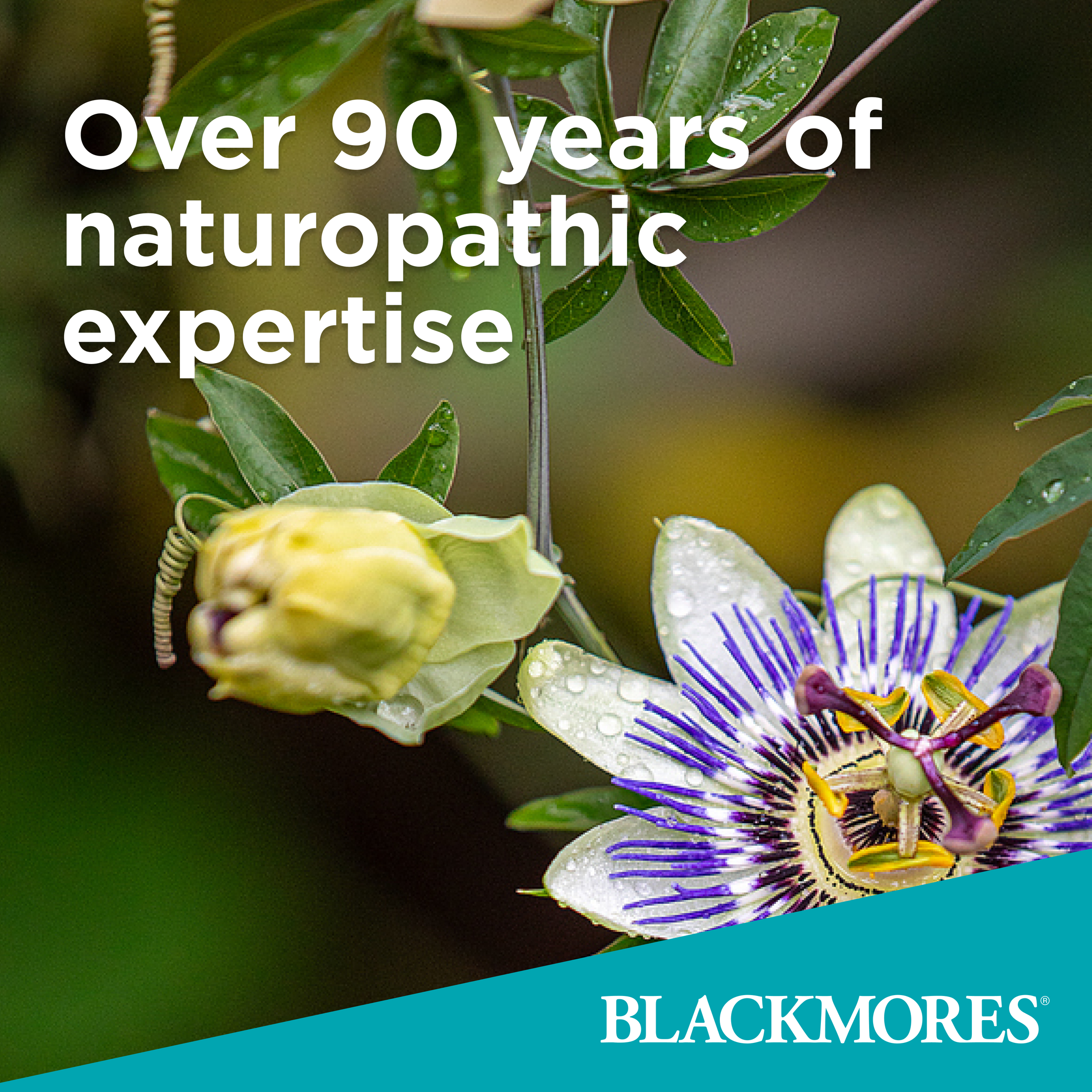 Blackmores Post Menopause Wellness 60 tablets - Image 4