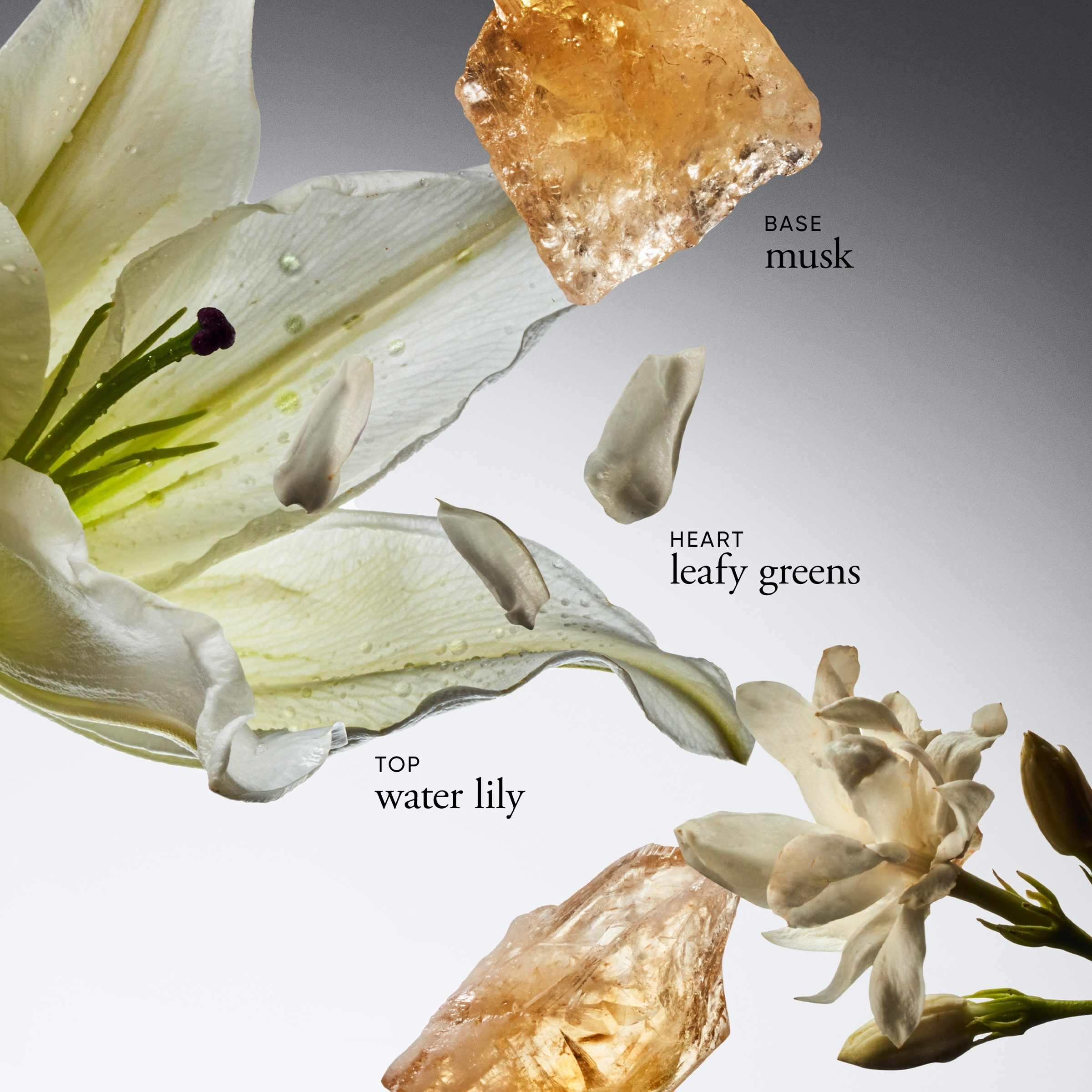 Philosophy Pure Grace EDT Spray 60ml - Image 3