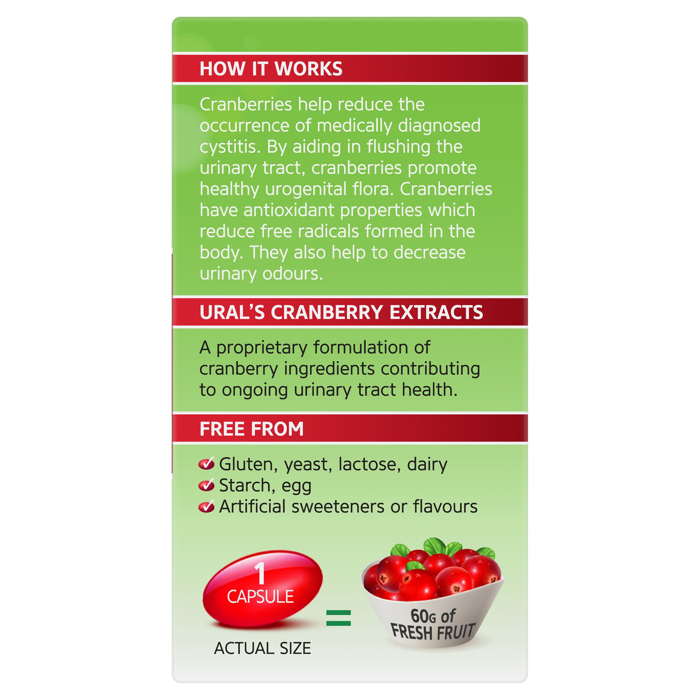 Ural Daily Cranberry 30 capsules - Image 4