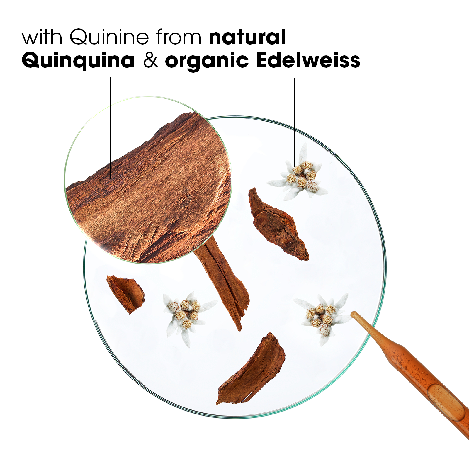 Klorane Conditioner With Quinine And Organic Edelweiss 200ml - Image 2