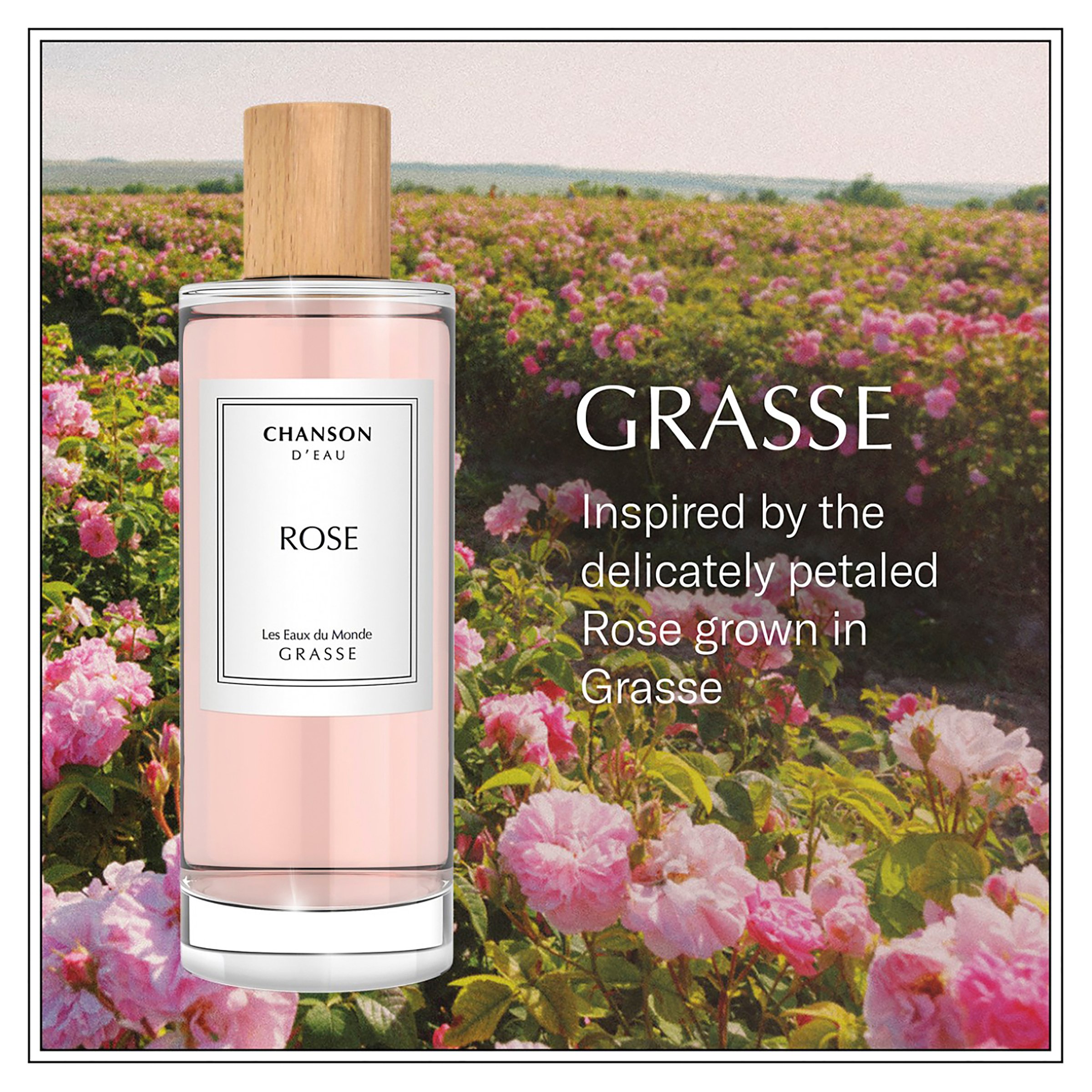 Chanson D'Eau Rose Les Eaux du Monde Grasse EDT Spray 100ml - Image 4