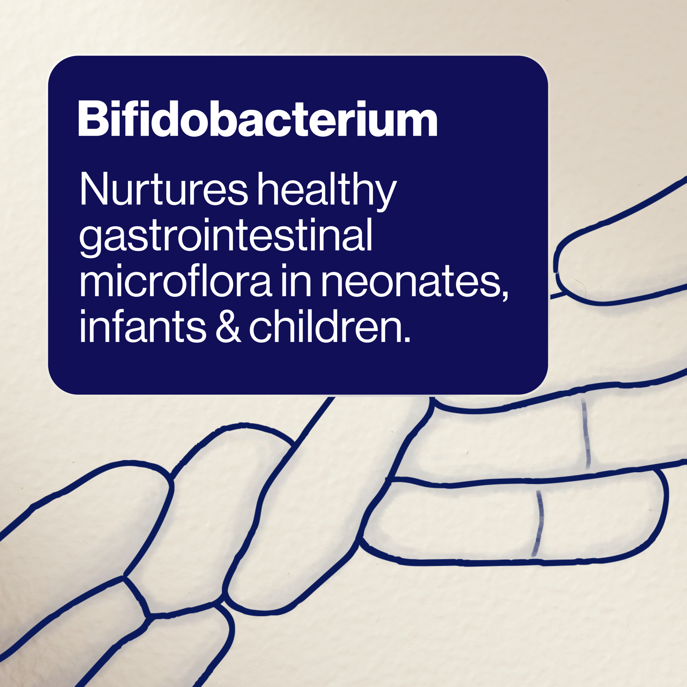 BioCeuticals BabyBiotic 0+Years 60g - Image 8