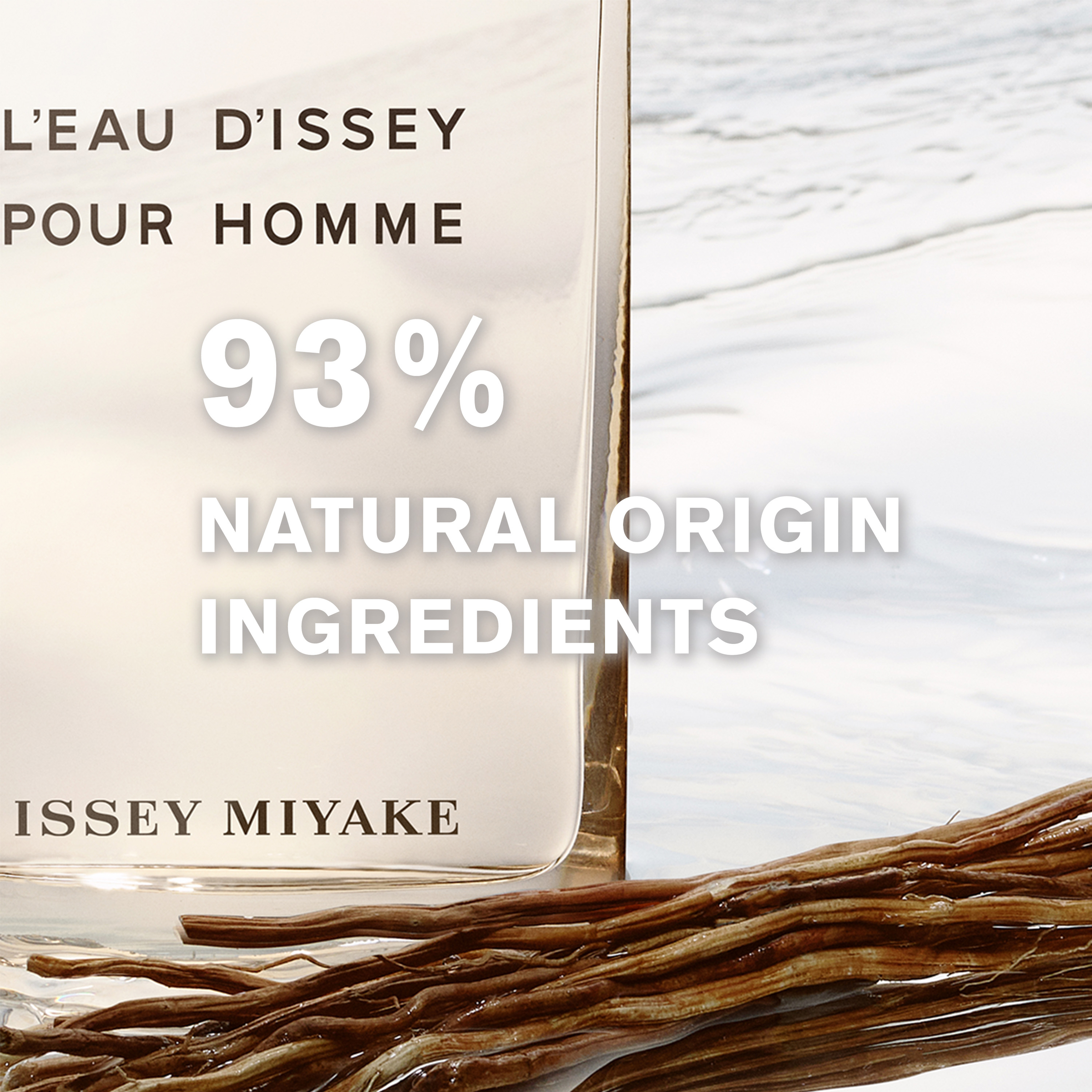Issey Miyake L’Eau d’Issey Pour Homme Vétiver EDTI Spray 100ml - Image 6