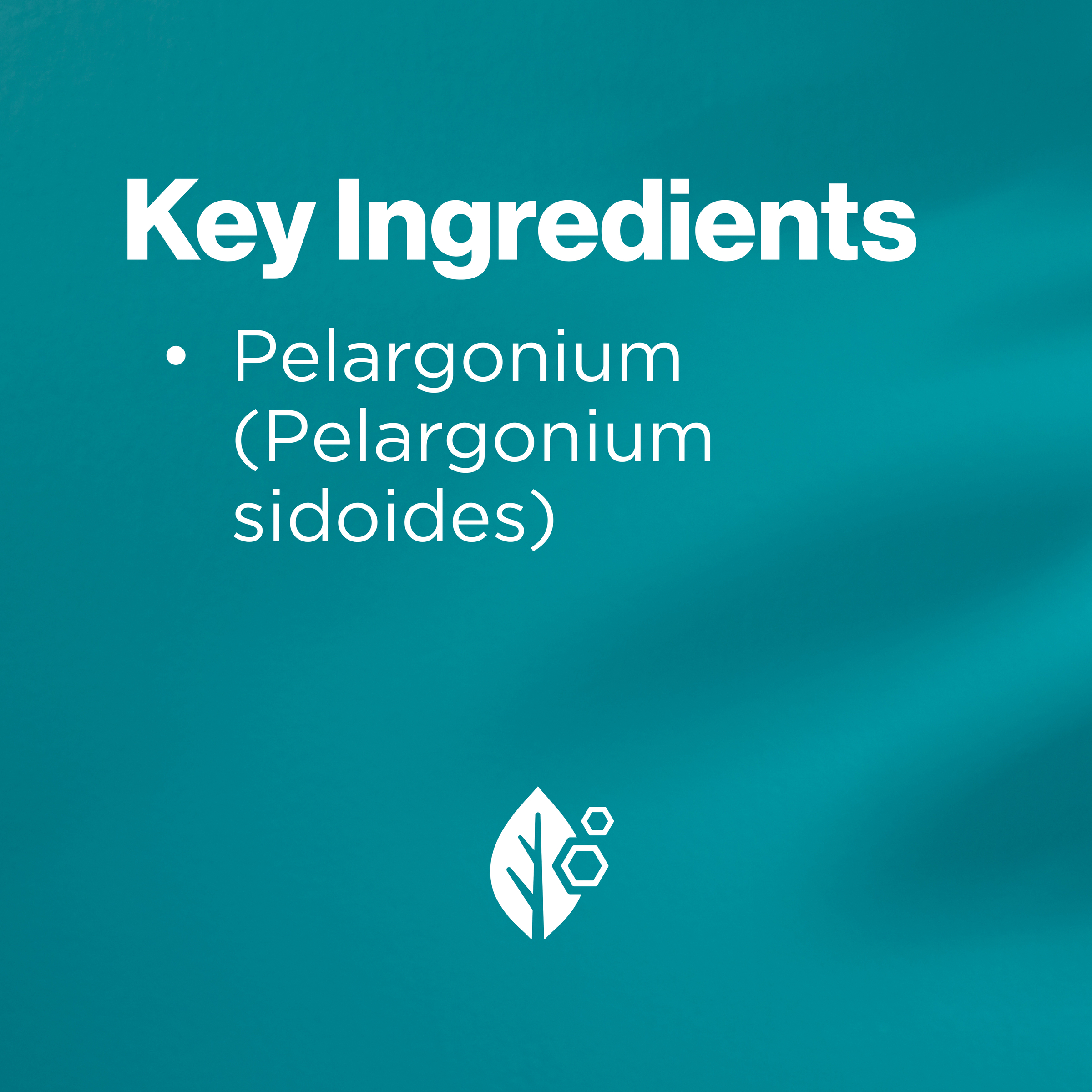 Blackmores Kaloba Syrup 50ml - Image 12