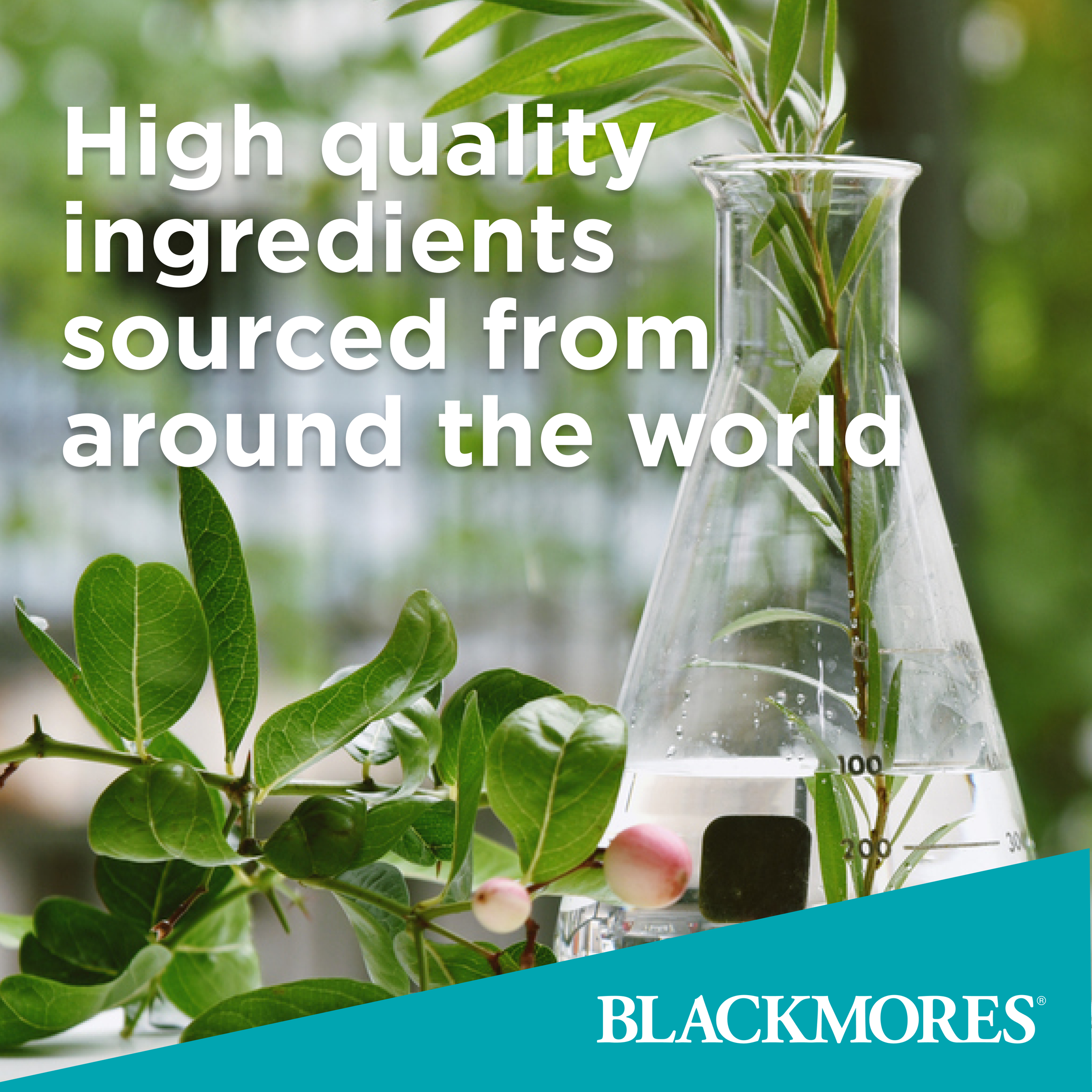 Blackmores Executive B Stress Formula 160 tablets - Image 4