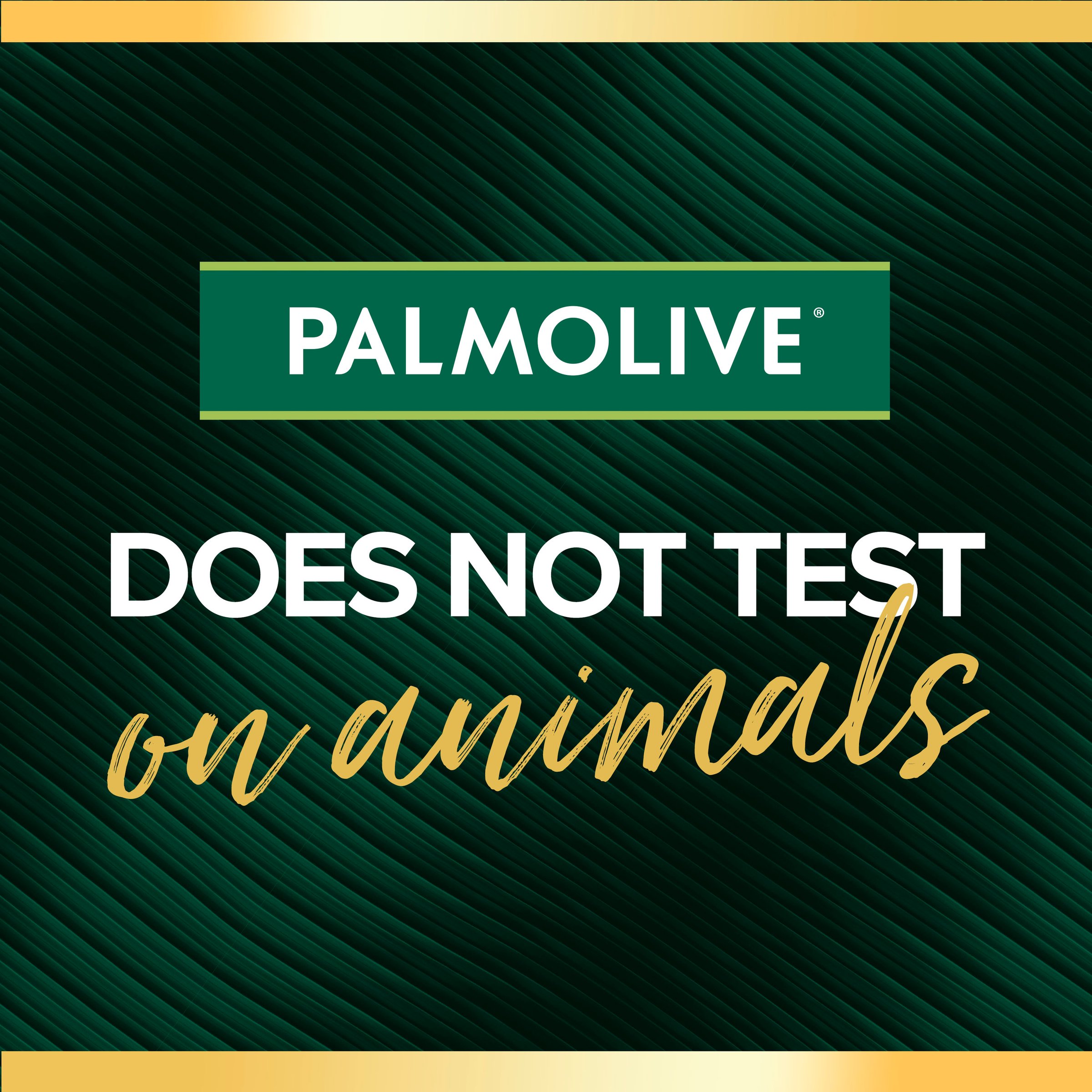 Palmolive Body Wash Luminous Oils Enriching Coconut 400ml - Image 4