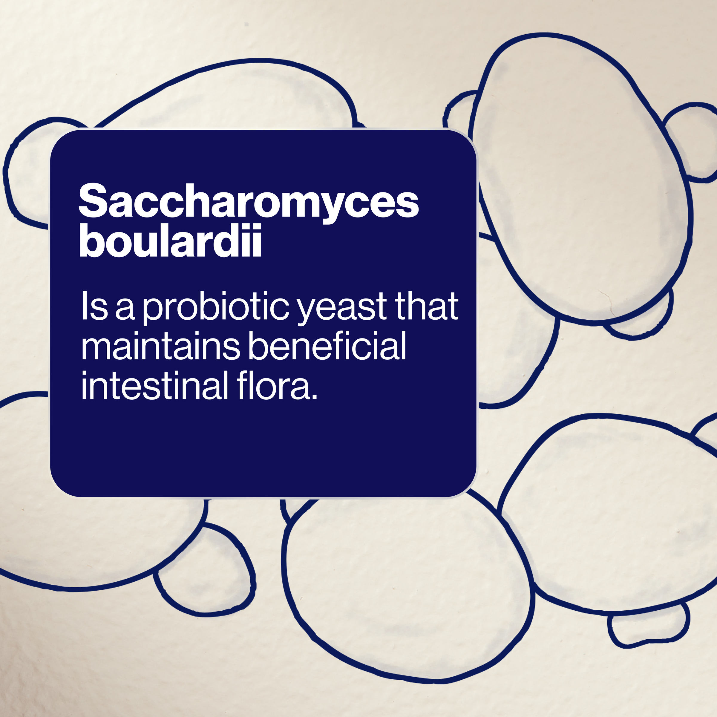 BioCeuticals SB Floractiv 30 capsules - Image 8