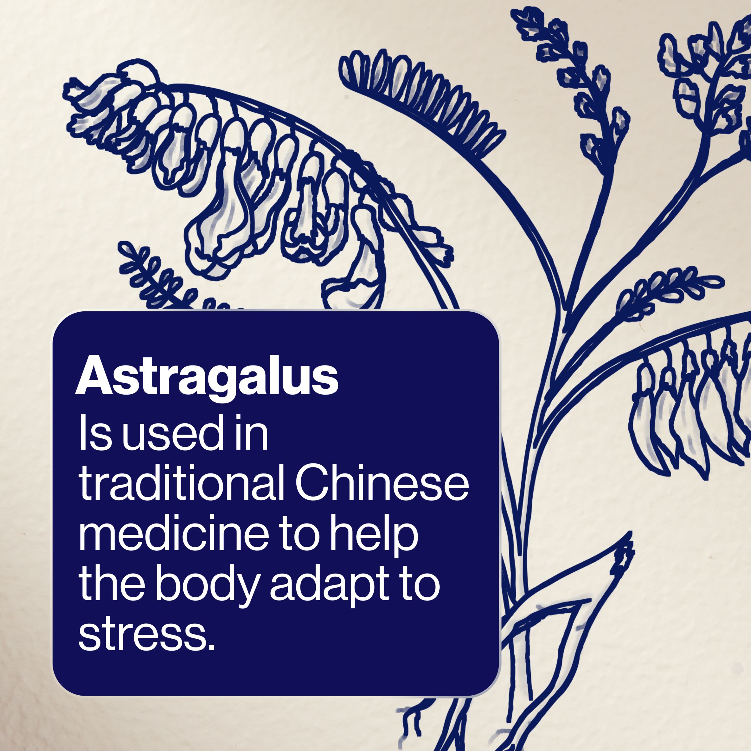 BioCeuticals Armaforce Recover 60 tablets - Image 8